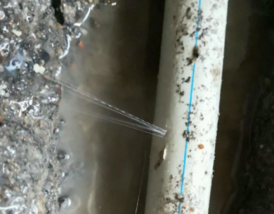 横县测漏水哪家好