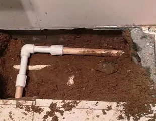 横县测漏水哪家好