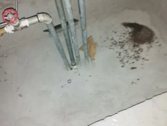 横县卫生间测漏水价格明细