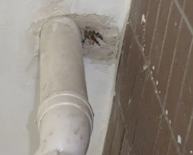 横县漏水检测哪家好